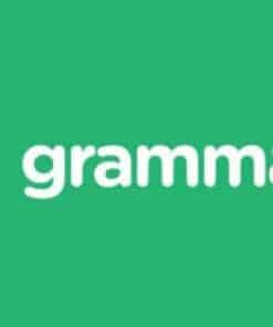 Grammarly Group Buy