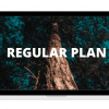 Regular Plan