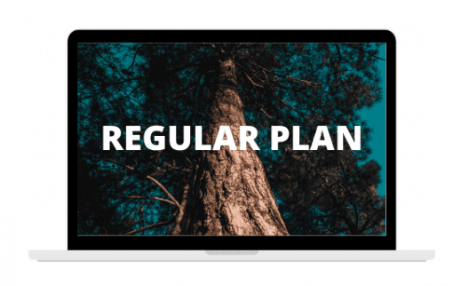 Regular Plan