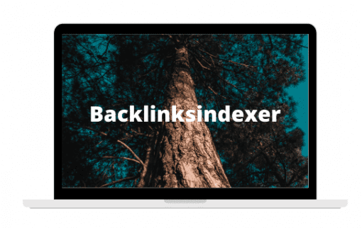 backlinksindexer group buy